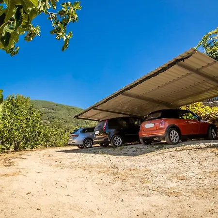 Casa de Férias Casa Mimosa *