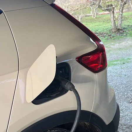 Casa Mimosa 칸델레다