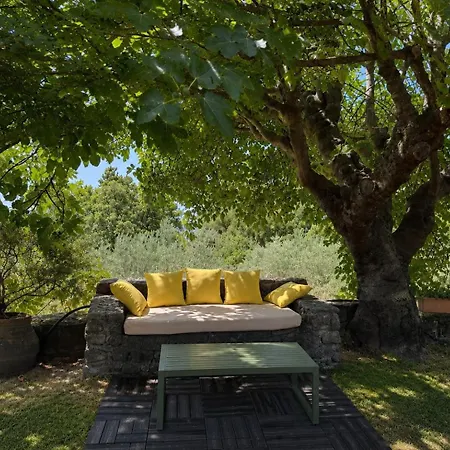 Casa Mimosa *