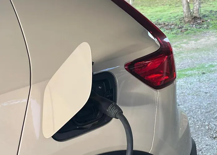 Casa Mimosa 칸델레다